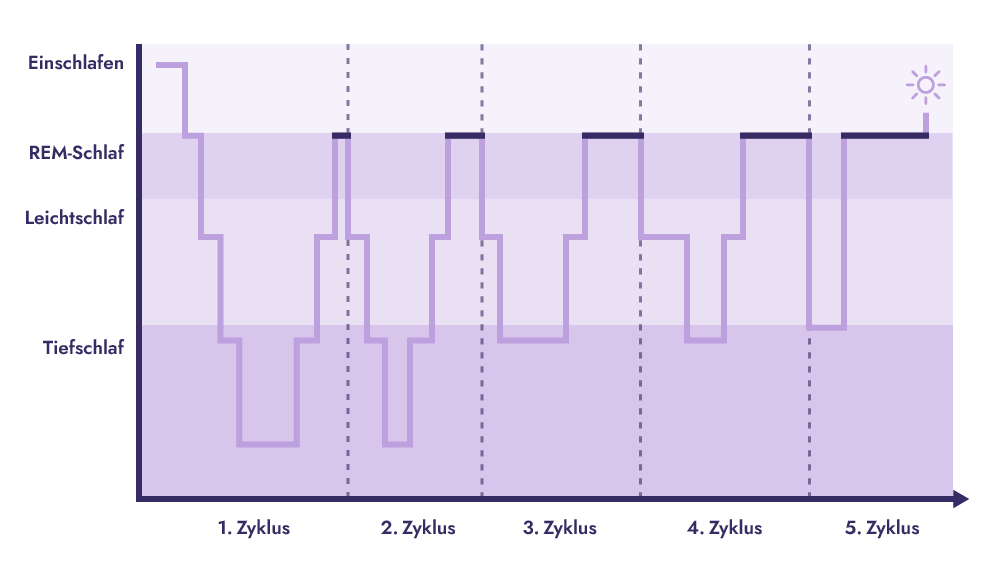Diagramm Schlafphasen und Schlafzyklen